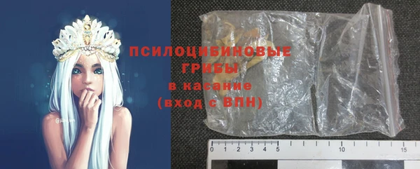прущая мука Козловка