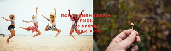 прущая мука Козловка
