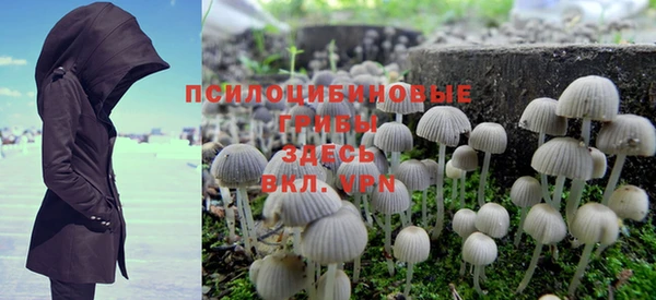 метадон Кодинск