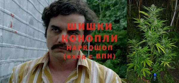 метадон Кодинск