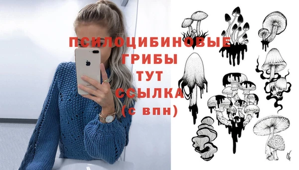 метадон Кодинск