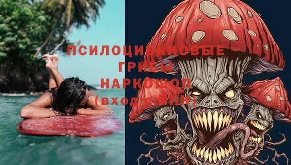 прущие крисы Козельск