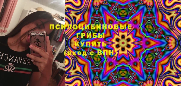 прущая мука Козловка