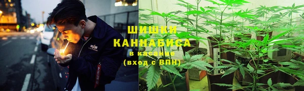 прущая мука Козловка